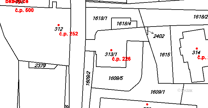 Hanušovice 226 na parcele st. 313/1 v KÚ Hanušovice, Katastrální mapa