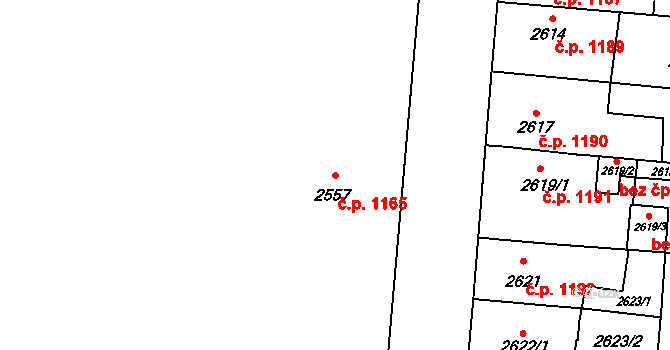 České Budějovice 7 1165, České Budějovice na parcele st. 2557 v KÚ České Budějovice 7, Katastrální mapa