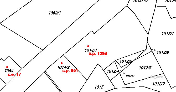 Vejprty 1294 na parcele st. 1014/1 v KÚ Vejprty, Katastrální mapa