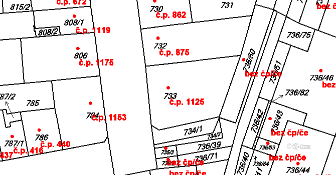Královo Pole 1125, Brno na parcele st. 733 v KÚ Královo Pole, Katastrální mapa