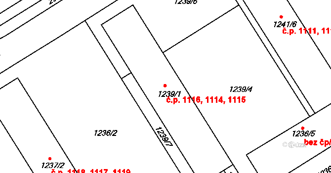 Rychnov nad Kněžnou 1114,1115,1116 na parcele st. 1239/1 v KÚ Rychnov nad Kněžnou, Katastrální mapa