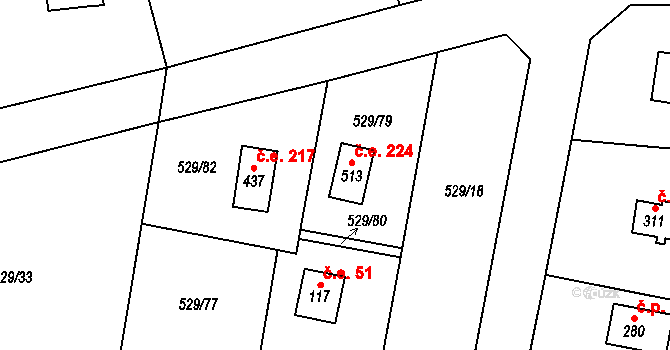 Vidovice 224, Kunice na parcele st. 513 v KÚ Dolní Lomnice u Kunic, Katastrální mapa