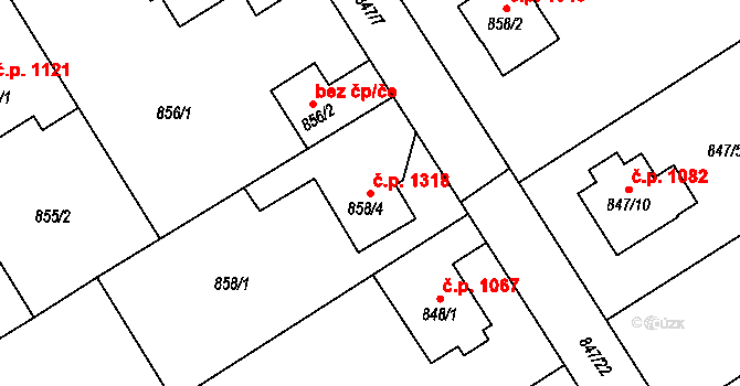 Rychnov nad Kněžnou 1318 na parcele st. 858/4 v KÚ Rychnov nad Kněžnou, Katastrální mapa