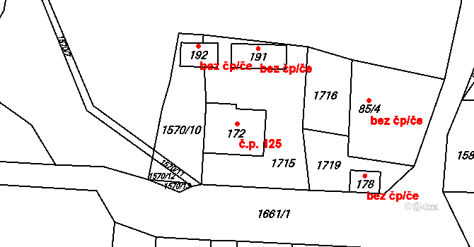 Kochavec 125, Rokytnice na parcele st. 172 v KÚ Kochavec, Katastrální mapa