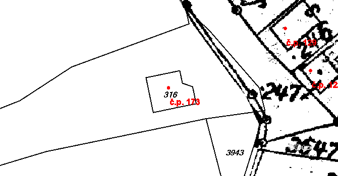 Chodská Lhota 173 na parcele st. 316 v KÚ Chodská Lhota, Katastrální mapa