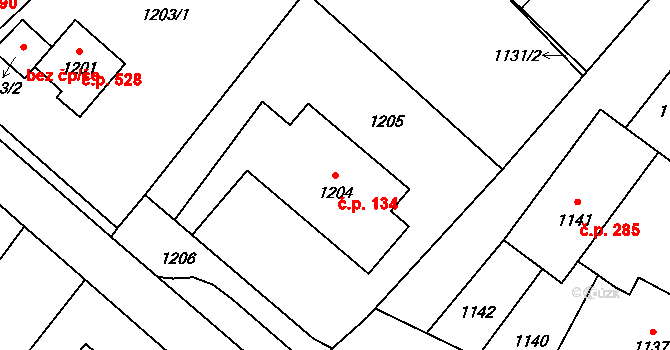 Rapotín 134 na parcele st. 1204 v KÚ Rapotín, Katastrální mapa