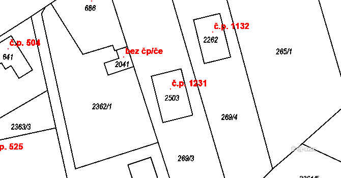 Pacov 1231 na parcele st. 2503 v KÚ Pacov, Katastrální mapa