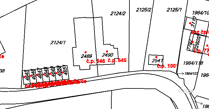 Borovina 645, Třebíč na parcele st. 2490 v KÚ Třebíč, Katastrální mapa