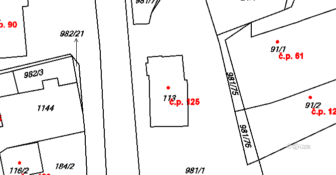Přepychy 125 na parcele st. 113 v KÚ Přepychy u Opočna, Katastrální mapa