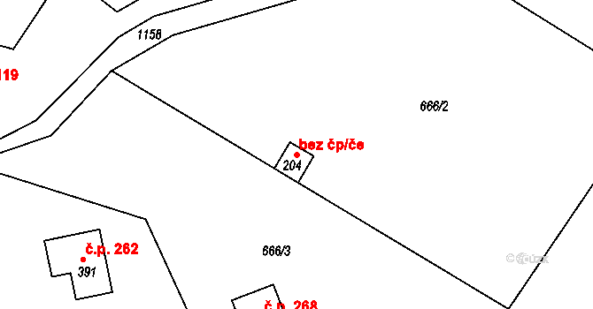 Bohdíkov 38976471 na parcele st. 204 v KÚ Dolní Bohdíkov, Katastrální mapa