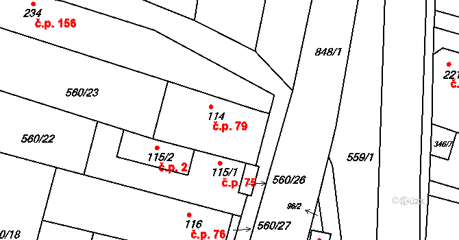 Telce 79, Peruc na parcele st. 114 v KÚ Telce, Katastrální mapa