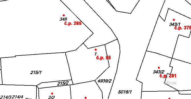 Černovice 55 na parcele st. 1 v KÚ Černovice u Tábora, Katastrální mapa