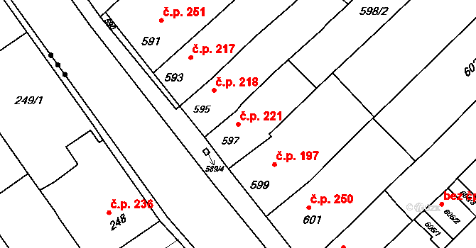 Přísnotice 221 na parcele st. 597 v KÚ Přísnotice, Katastrální mapa