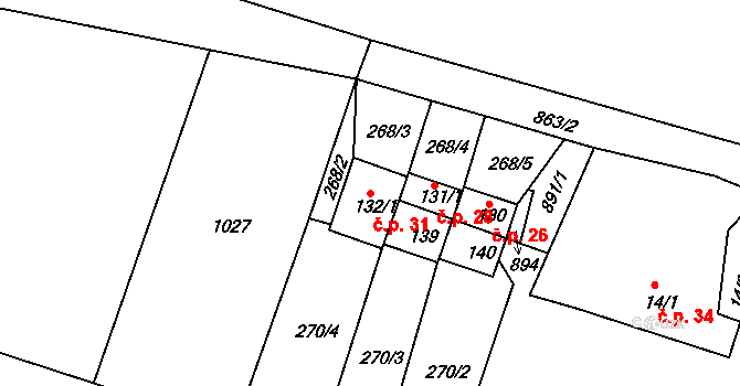 Rohozná 31, Trhová Kamenice na parcele st. 132/1 v KÚ Rohozná u Trhové Kamenice, Katastrální mapa