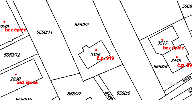 Horní Předměstí 919, Polička na parcele st. 3125 v KÚ Polička, Katastrální mapa