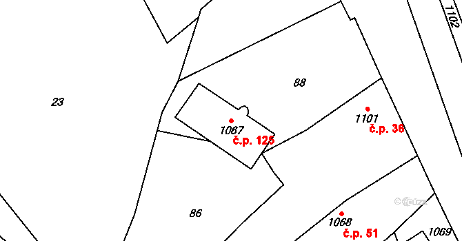 Třeština 125 na parcele st. 1067 v KÚ Třeština, Katastrální mapa