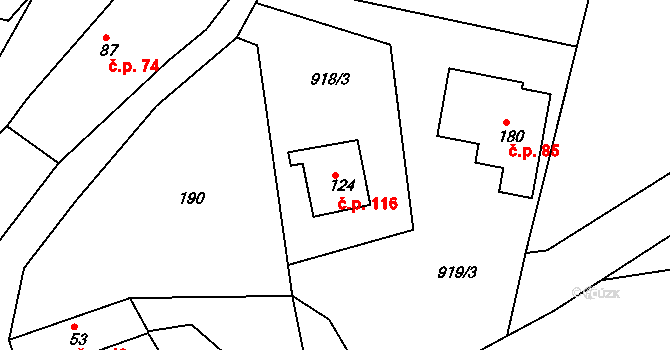 Nesvačily 116, Bystřice na parcele st. 124 v KÚ Nesvačily u Bystřice, Katastrální mapa