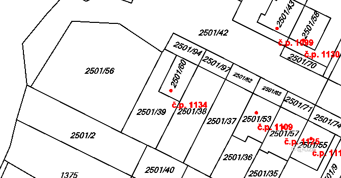 Oslavany 1134 na parcele st. 2501/60 v KÚ Oslavany, Katastrální mapa