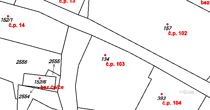Olešnice v Orlických horách 103 na parcele st. 134 v KÚ Olešnice v Orlických horách, Katastrální mapa