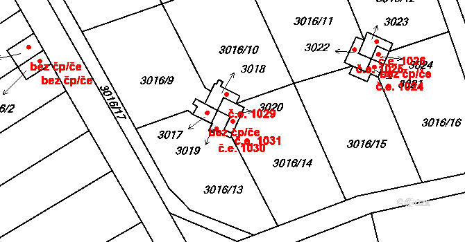 Planá nad Lužnicí 1031 na parcele st. 3020 v KÚ Planá nad Lužnicí, Katastrální mapa