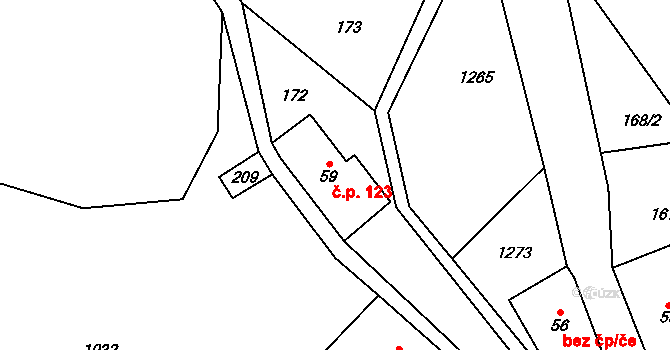 Těchonín 123 na parcele st. 59 v KÚ Těchonín, Katastrální mapa