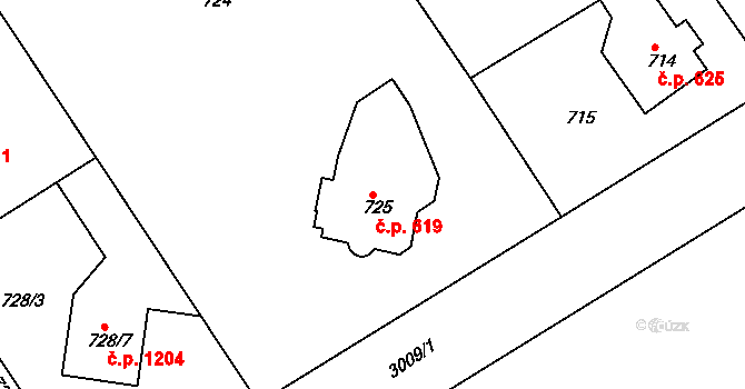 Rychnov nad Kněžnou 619 na parcele st. 725 v KÚ Rychnov nad Kněžnou, Katastrální mapa