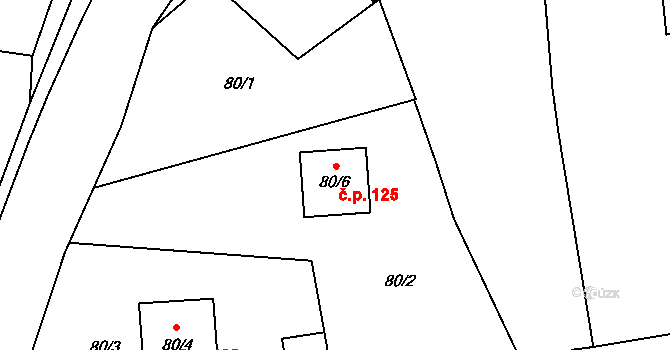 Číčenice 125 na parcele st. 80/6 v KÚ Číčenice, Katastrální mapa