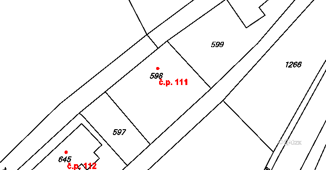 Olbramice 111 na parcele st. 598 v KÚ Olbramice, Katastrální mapa