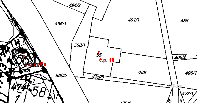 Mlýnický Dvůr 16, Červená Voda na parcele st. 55 v KÚ Mlýnický Dvůr, Katastrální mapa