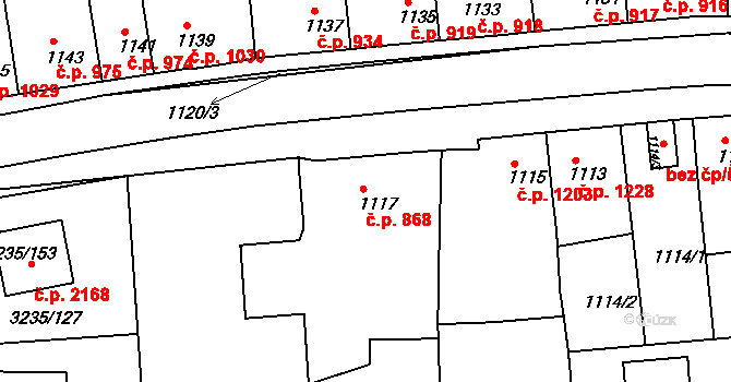 Tachov 868 na parcele st. 1117 v KÚ Tachov, Katastrální mapa