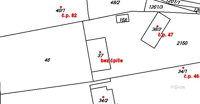 Běchary 43611541 na parcele st. 37 v KÚ Běchary, Katastrální mapa