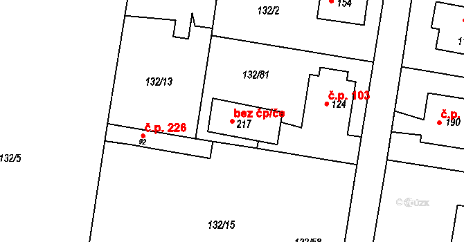 Chotoviny 40879542 na parcele st. 217 v KÚ Červené Záhoří, Katastrální mapa