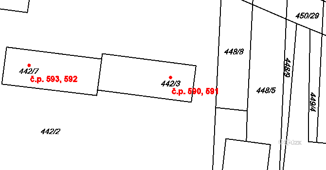 Rajhrad 590,591 na parcele st. 442/3 v KÚ Rajhrad, Katastrální mapa