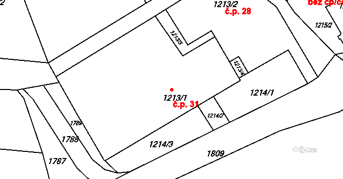 Zichov 31, Koloveč na parcele st. 1213/1 v KÚ Zichov, Katastrální mapa