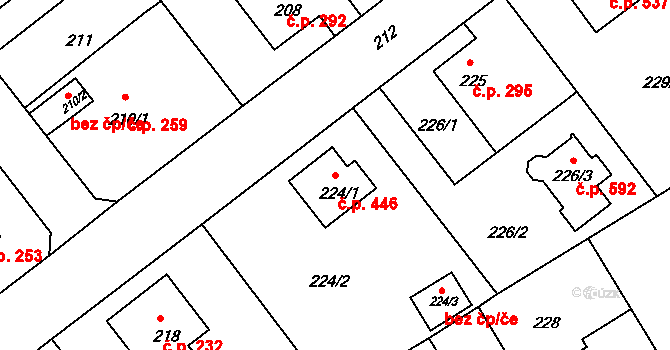 Liberec XI-Růžodol I 446, Liberec na parcele st. 224/1 v KÚ Růžodol I, Katastrální mapa