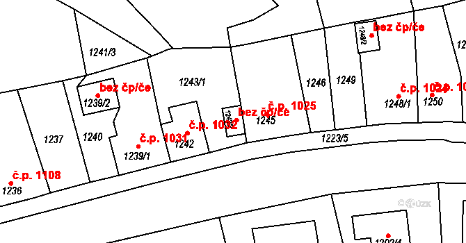 Tachov 48217557 na parcele st. 1243/2 v KÚ Tachov, Katastrální mapa