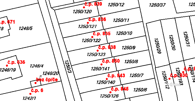 Bolatice 838 na parcele st. 1250/123 v KÚ Bolatice, Katastrální mapa