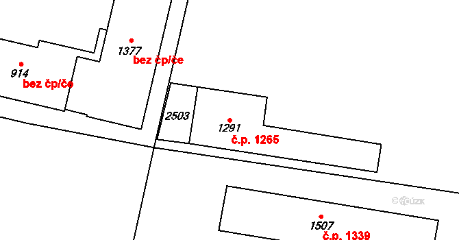 Třebechovice pod Orebem 1265 na parcele st. 1291 v KÚ Třebechovice pod Orebem, Katastrální mapa
