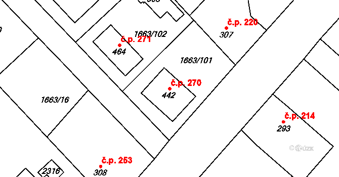 Chotusice 270 na parcele st. 442 v KÚ Chotusice, Katastrální mapa