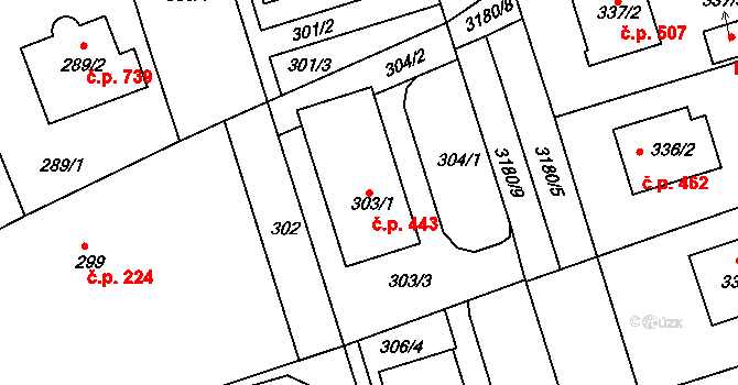 Planá nad Lužnicí 443 na parcele st. 303/1 v KÚ Planá nad Lužnicí, Katastrální mapa