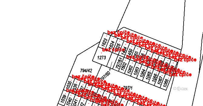 Lišov 48248568 na parcele st. 1273 v KÚ Lišov, Katastrální mapa
