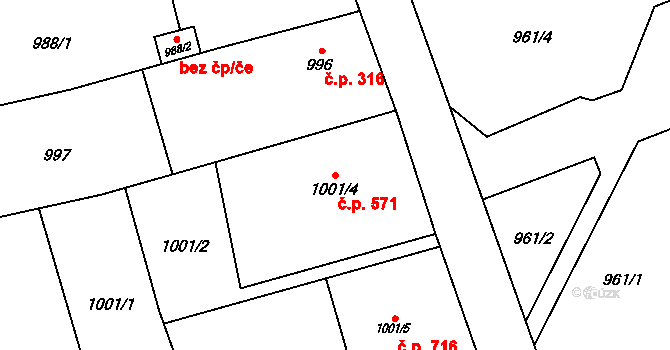 Štěpánkovice 571 na parcele st. 1001/4 v KÚ Štěpánkovice, Katastrální mapa