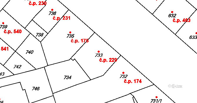 Vinohrady 229, Praha na parcele st. 733 v KÚ Vinohrady, Katastrální mapa