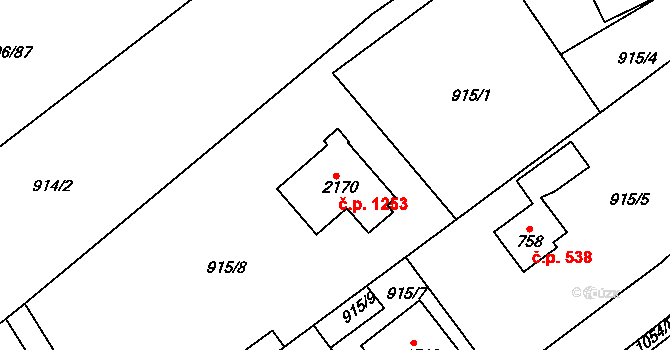 Světlá nad Sázavou 1253 na parcele st. 2170 v KÚ Světlá nad Sázavou, Katastrální mapa