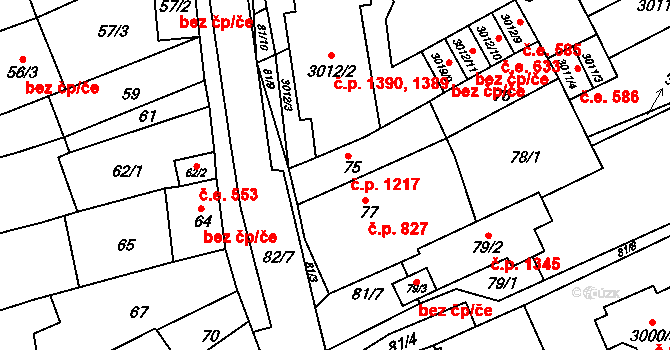 Šlapanice 1217 na parcele st. 75 v KÚ Šlapanice u Brna, Katastrální mapa