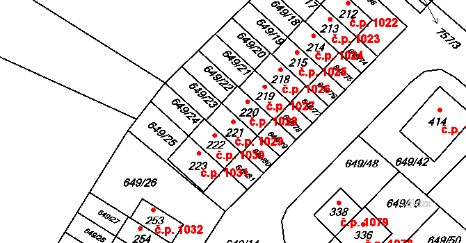 Květnice 1029 na parcele st. 221 v KÚ Květnice, Katastrální mapa