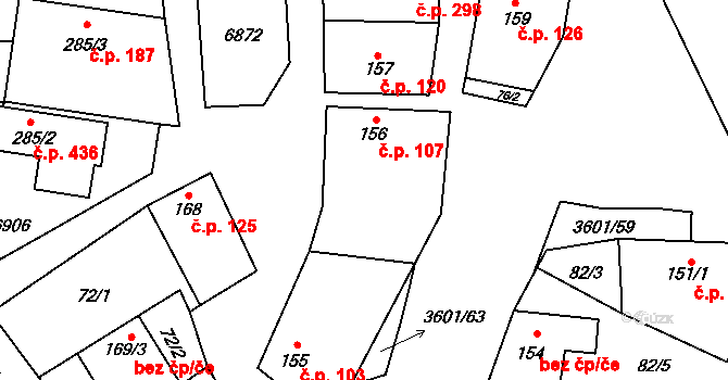 Brumovice 107 na parcele st. 156 v KÚ Brumovice, Katastrální mapa