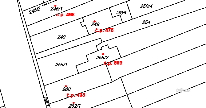 Židlochovice 559 na parcele st. 255/2 v KÚ Židlochovice, Katastrální mapa