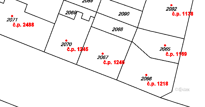 Vinohrady 1246, Praha na parcele st. 2067 v KÚ Vinohrady, Katastrální mapa