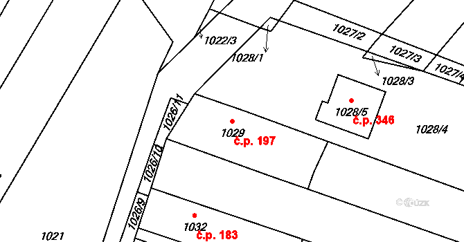 Rychlov 197, Bystřice pod Hostýnem na parcele st. 1029 v KÚ Rychlov u Bystřice pod Hostýnem, Katastrální mapa